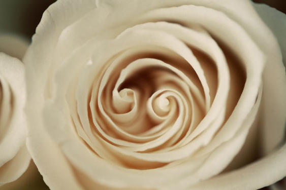 Floral arrangement 27